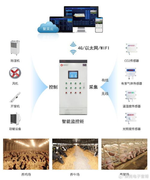 智慧畜牧養殖環境監測系統 自動化控制與智能化管理的技術融合