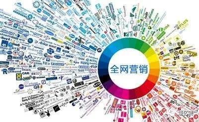 全網(wǎng)營銷 互聯(lián)網(wǎng)時代下的戰(zhàn)略整合與銷售新范式